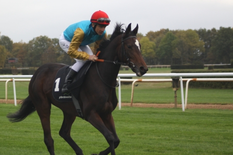 Adrie de Vries